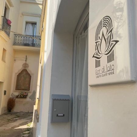 Апартаменти Fior Di Loto Centro Storico Нардо Екстер'єр фото